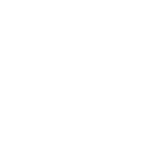 DVKZ FeRoX's emblem