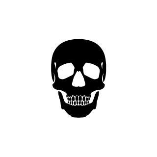 ICH5K8T3R's emblem