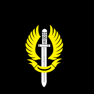 ItzRaven77's emblem