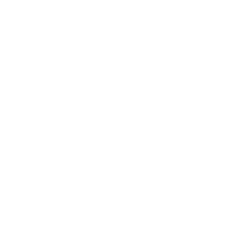 Acefspdes's emblem