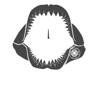 BearR0R's emblem