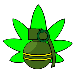 pineapplE Xpress's emblem