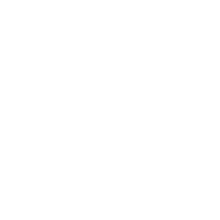 FI-Corruptor's emblem