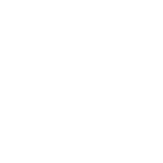 Heidegger-Martin's emblem