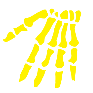 DavoodOrBital's emblem