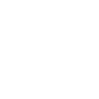 GizmonTM's emblem