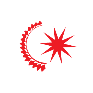 Cyre911's emblem