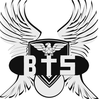 BattleSoldiers's emblem