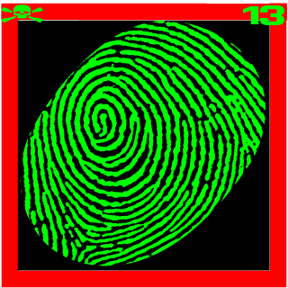 O11O1OO11O1O's emblem