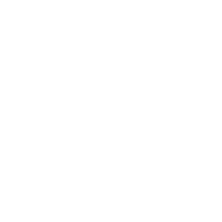 gsanez's emblem