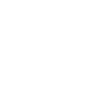 methndynam's emblem