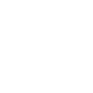 ACEVoodoo's emblem