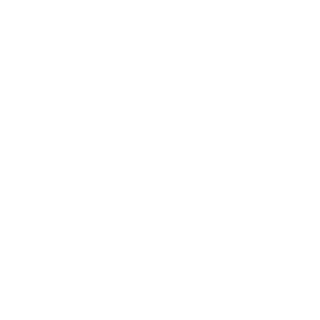 Onelone11's emblem