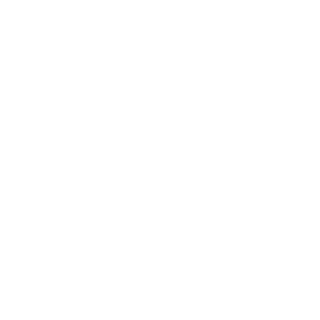 SunnyChowo's emblem
