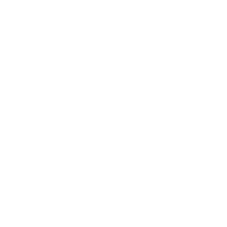 shanedflett's emblem