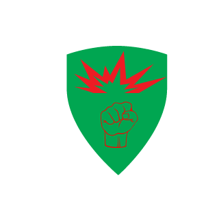 llirik37's emblem