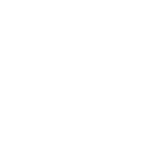 nfrog's emblem