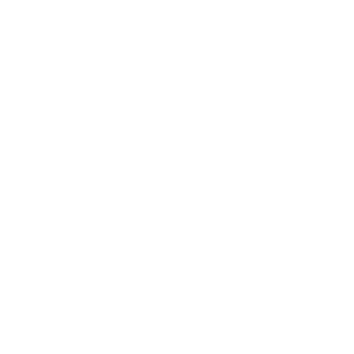 Jibbit501's emblem