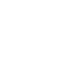 CareFace333's emblem