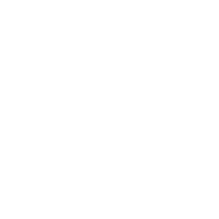 AnonStriker's emblem
