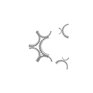 Polygonals's emblem