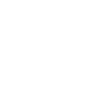 Mr-LongFei's emblem