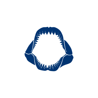 qwizlyy1's emblem