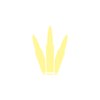 mickax23's emblem