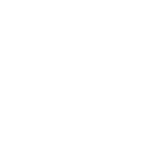 Acronism's emblem