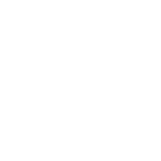 magnetmaskin's emblem