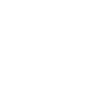 Sk1ffol's emblem