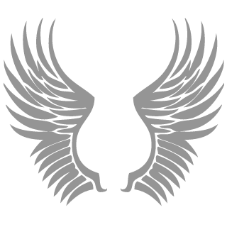 3k1m97's emblem