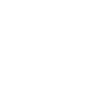 B3OPBAHHbIN_W220's emblem