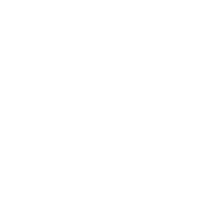 lesyhau's emblem