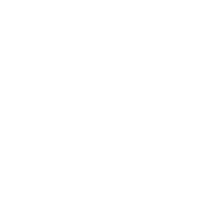Spitfyre98's emblem