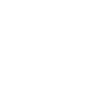 101697Devin's emblem