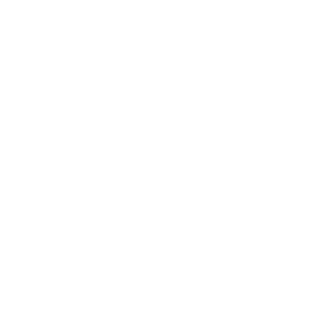 SomthingRare2's emblem