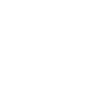 cd8e538f7f54dacd's emblem