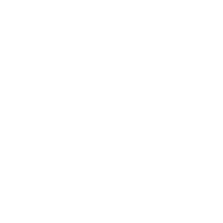32gb_of_RAMirez's emblem