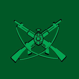 FlyPacheco's emblem