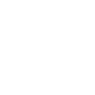 Viceroys14's emblem