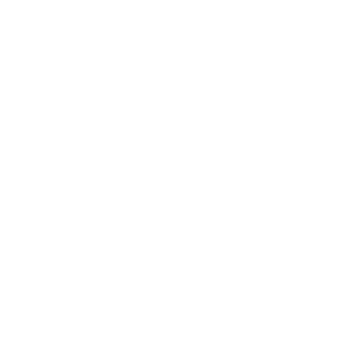 moti_igor's emblem