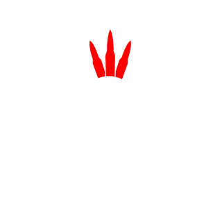 johnyboy941's emblem