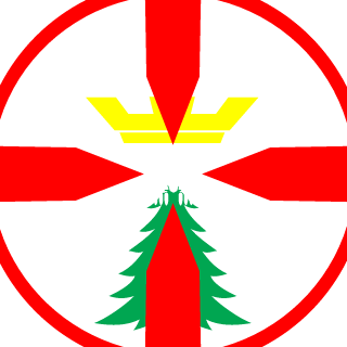 QkIi1's emblem