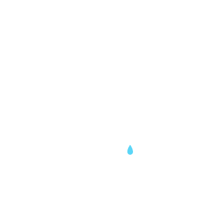 Sir Boomith's emblem