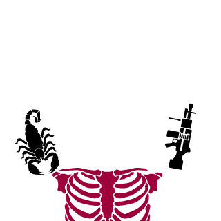 lucasalegre2016's emblem