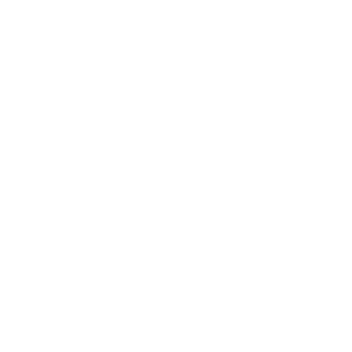 TheRhino411's emblem