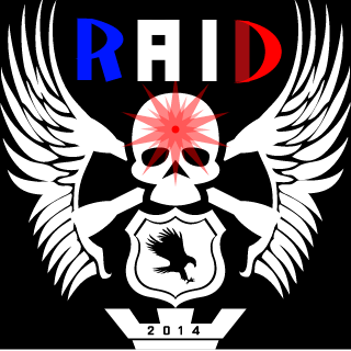 RAID TEAM's emblem
