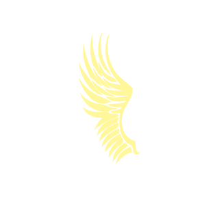 SKYTORUS-2047's emblem