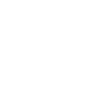 saltysugarXpX's emblem